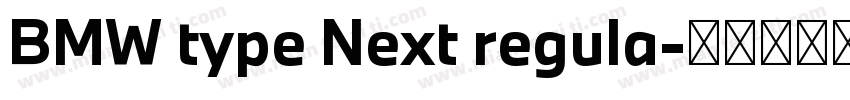 BMW type Next regula字体转换